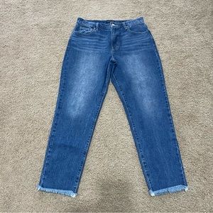 Lucky Brand Women’s Drew  High Rise Mom Jean Size 8/29